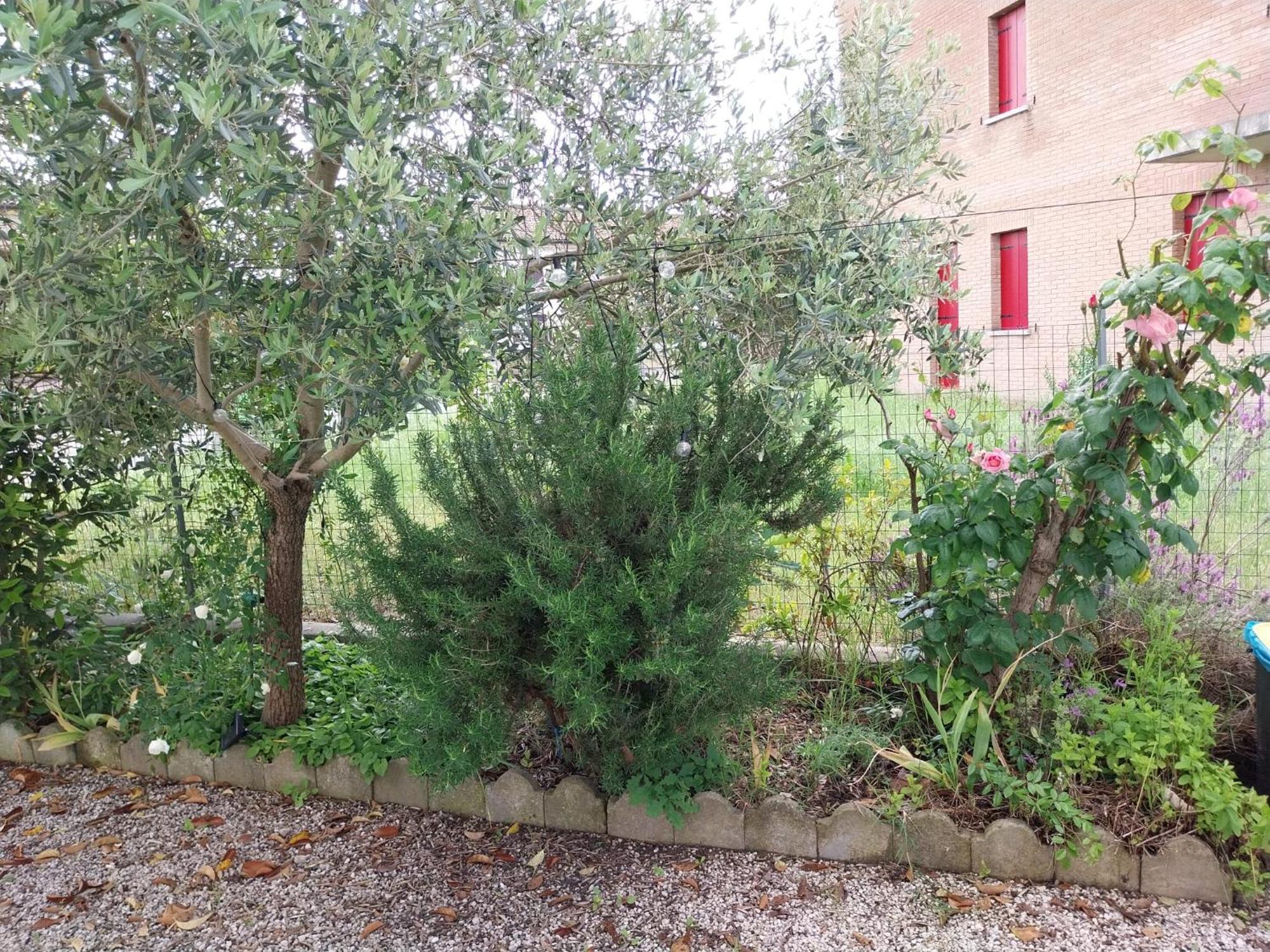 Apartament Casita Esperanza Copparo Zewnętrze zdjęcie